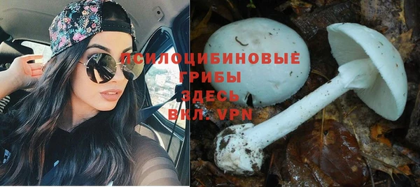 молекула духа Гвардейск