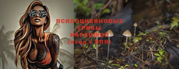 крисы Наволоки