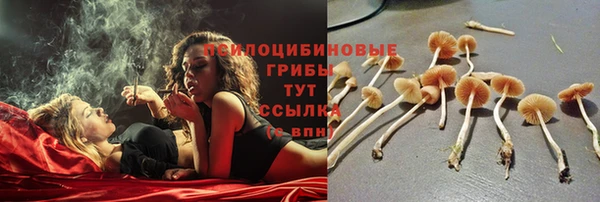 крисы Наволоки