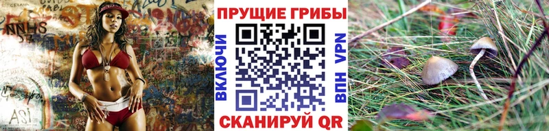 Галлюциногенные грибы GOLDEN TEACHER  купить  сайты  Светлогорск 